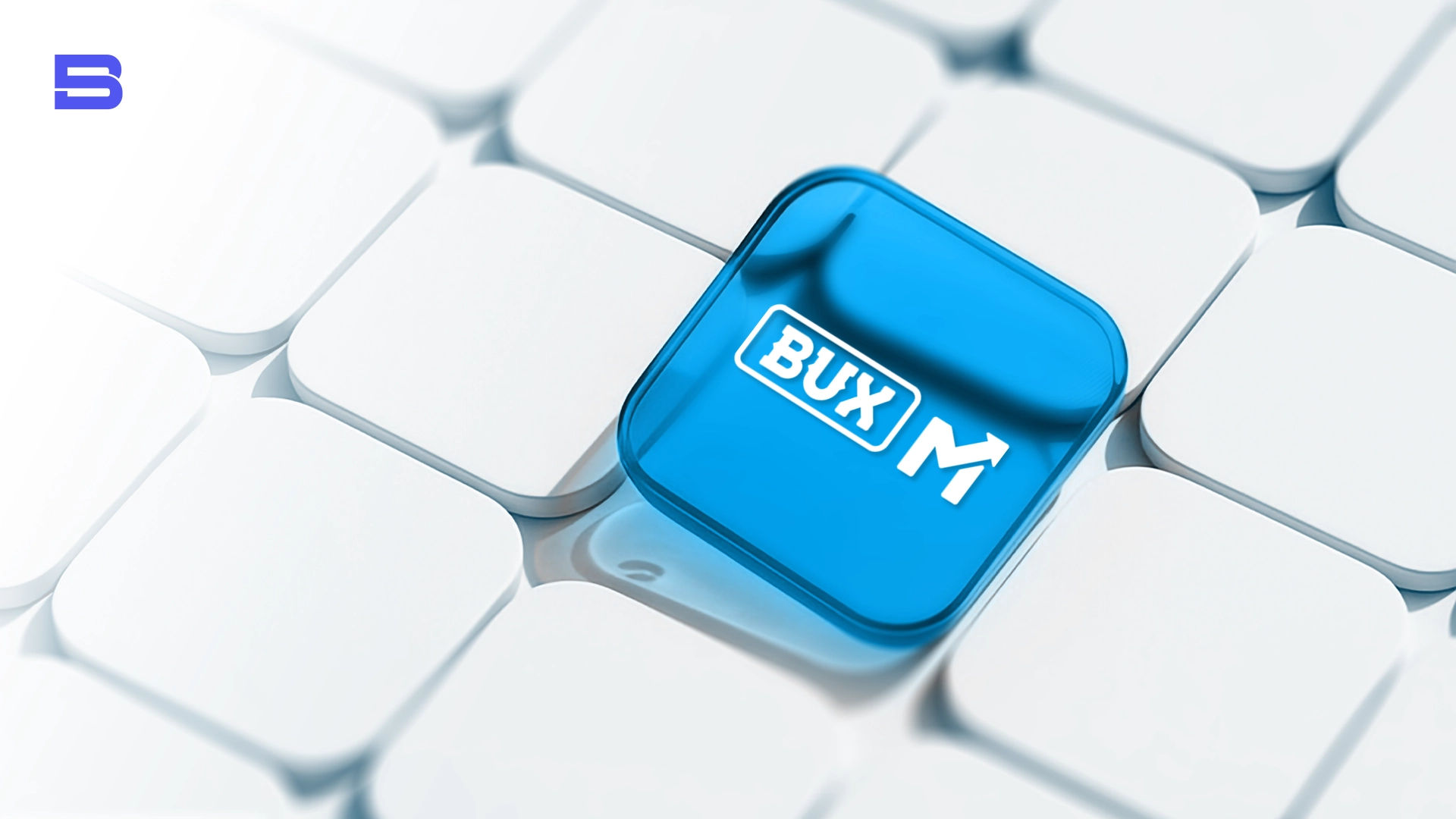 BUX image