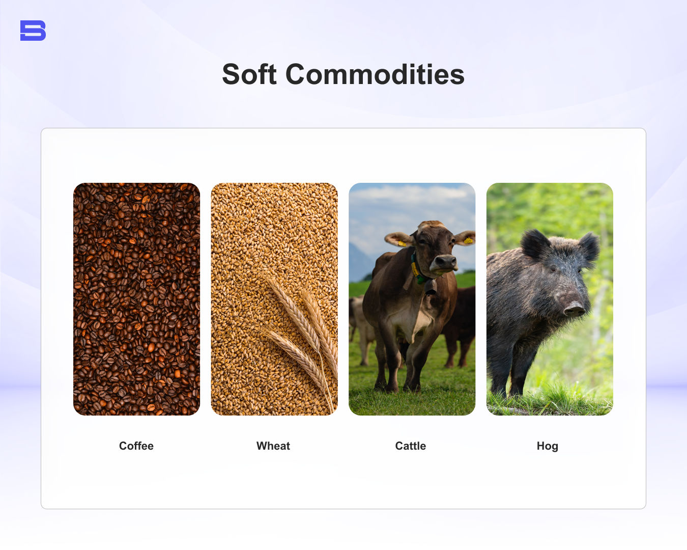 Soft Commodities.webp