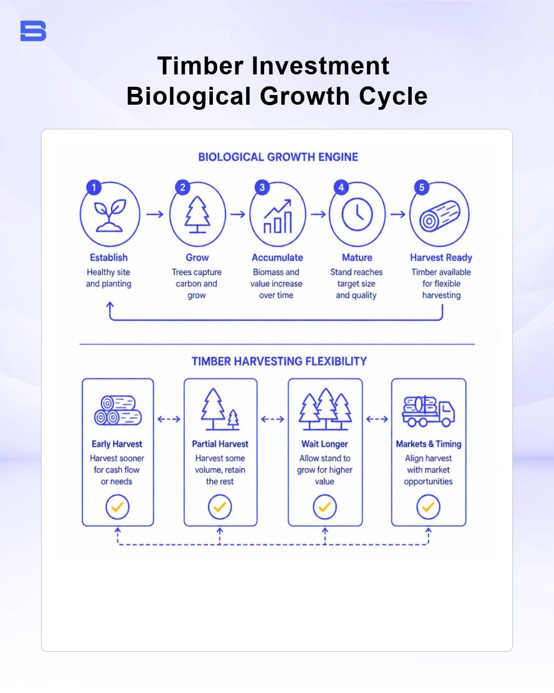 timber-investment-biological-growth-cycle.webp Biological growth engine and timber harvesting flexibility diagram
